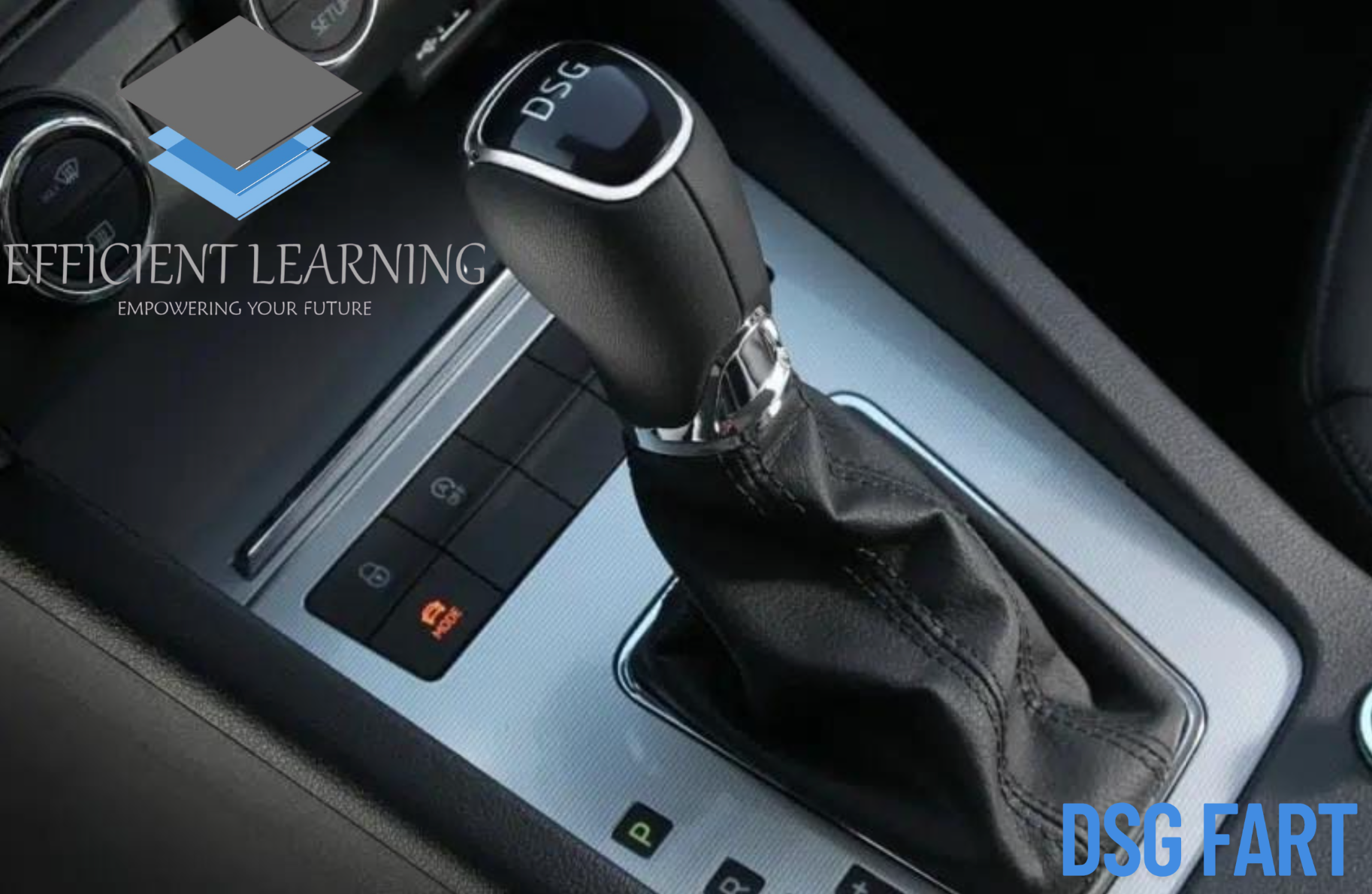 DSG FART
