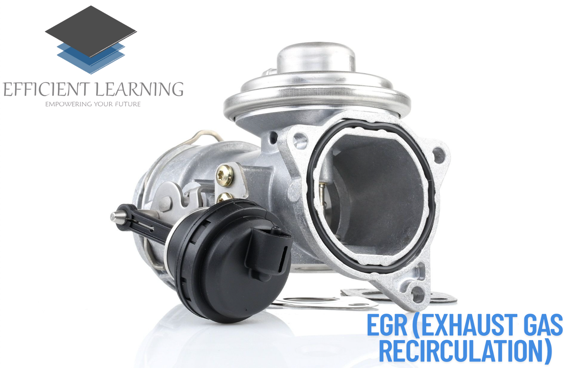 EGR (Exhaust Gas Recirculation)